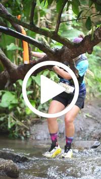 BIB:  <button type="button" onclick="openModal(27825830)" class="btn btn-primary btn-sm float-right" data-toggle="modal" data-target=".modal-high-quality">
                <i class="fa fa-download"></i> Download
                </button>